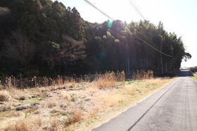 静岡県島田市野田