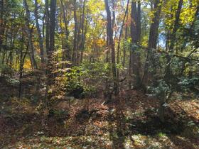 群馬県吾妻郡嬬恋村大字大前