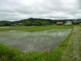 岩手県北上市小鳥崎２地割