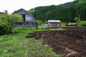 北海道二海郡八雲町桜野