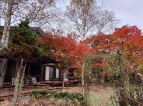 長野県北佐久郡軽井沢町大字軽井沢