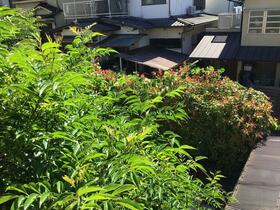 京都府宇治市五ケ庄広岡谷