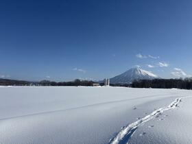 北海道虻田郡倶知安町字高見