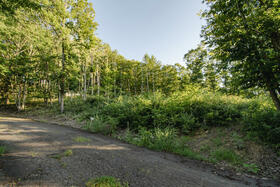 長野県北佐久郡御代田町大字面替