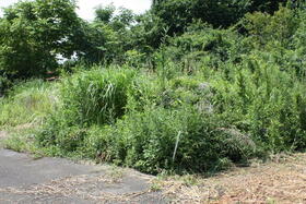 栃木県下野市下坪山