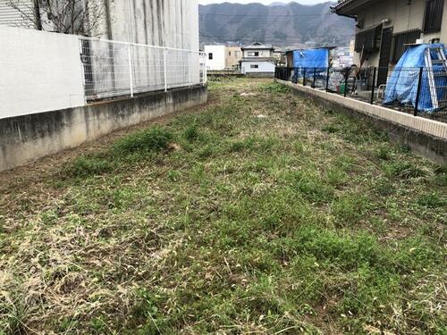 Land, Koshu, Yamanashi