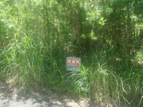 Land, 京都府 船井郡京丹波町