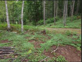 長野県南佐久郡川上村大字川端下