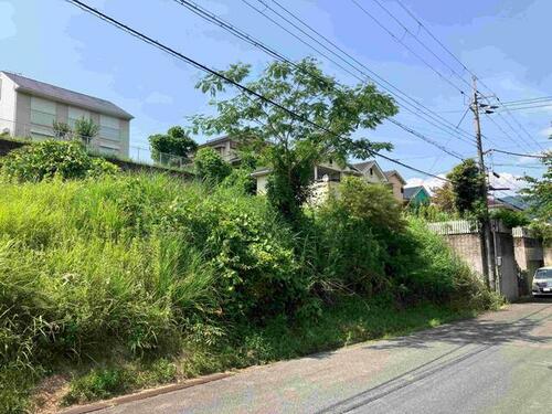 Land, Oyodo Town, Nara