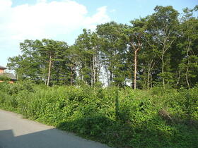 栃木県那須塩原市埼玉