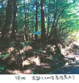 静岡県伊豆の国市中