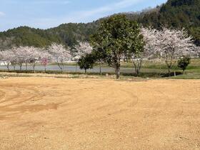 兵庫県丹波篠山市小枕