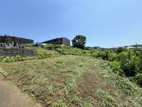 神奈川県秦野市南矢名