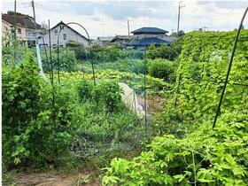 群馬県太田市金山町