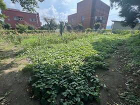 熊本県阿蘇市三久保