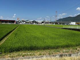熊本県八代市長田町