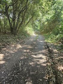 茨城県鉾田市中居