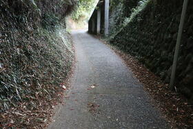 Image 51