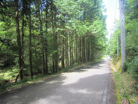 愛知県新城市作手善夫字カイリケ