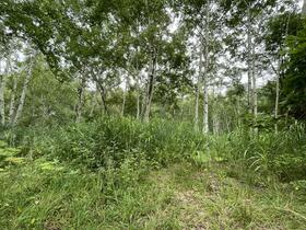 北海道石狩市厚田区望来