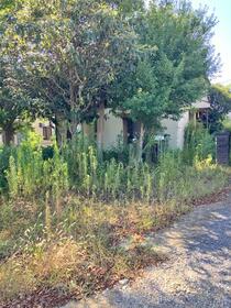 茨城県神栖市息栖