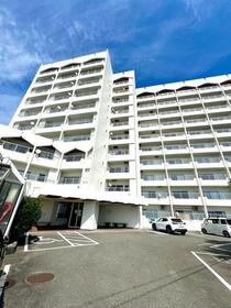 和歌山県西牟婁郡白浜町椿