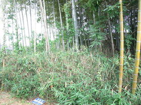 三重県伊賀市猪田