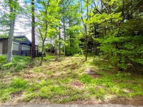 長野県北佐久郡御代田町大字塩野