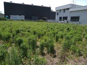 千葉県木更津市茅野