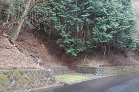 静岡県伊豆市冷川