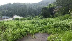 長野県中野市大字岩井