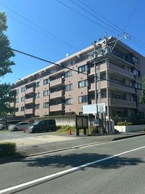 ロイヤルシャトー　高丘東　２０３