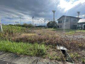 静岡県御前崎市池新田