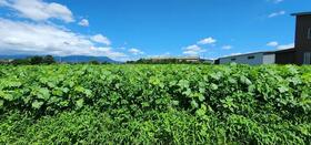 群馬県高崎市北原町