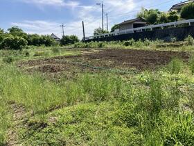 熊本県山鹿市鹿本町高橋