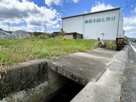 和歌山県紀の川市桃山町市場