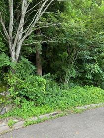 長野県上水内郡信濃町大字古海