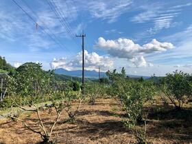 群馬県利根郡川場村大字川場湯原