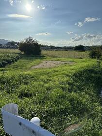 兵庫県丹波篠山市池上