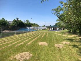 愛知県豊橋市天伯町字梅田