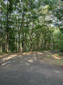 長野県上水内郡信濃町大字富濃