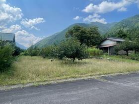岐阜県郡上市八幡町有穂