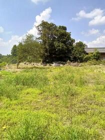 千葉県香取郡多古町東松崎