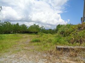 沖縄県国頭郡大宜味村字津波