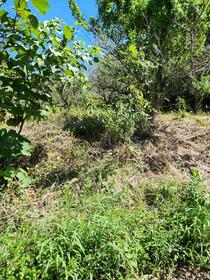 鹿児島県鹿児島市犬迫町