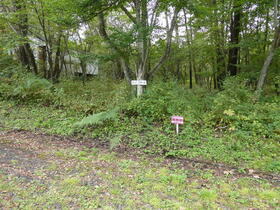 群馬県吾妻郡嬬恋村大字鎌原群馬坂