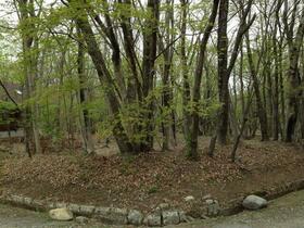 栃木県那須郡那須町大字高久乙