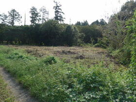 茨城県石岡市東成井