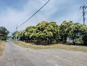 群馬県前橋市亀泉町