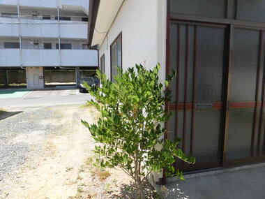 代表画像_外観@208010179561